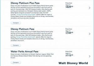 Pases Anuales - Disney World