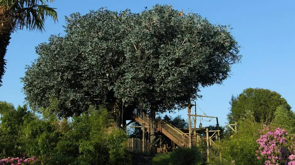 La Cabane des Robinson en Disneyland Paris