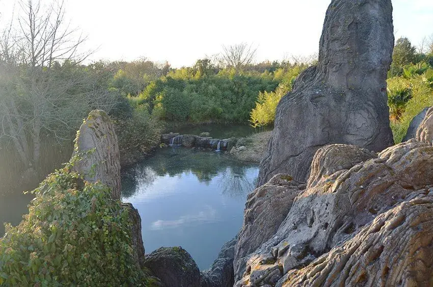 Vista del lago en Isla Aventura, rodeado de naturaleza