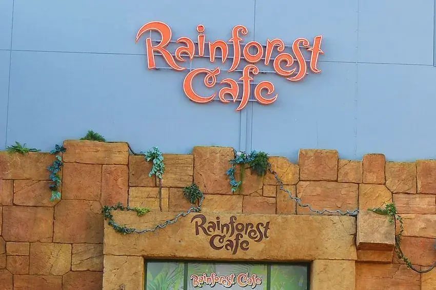 Rainforest - 1