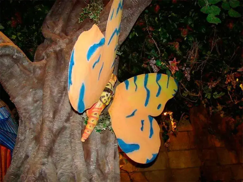 Rainforest - 3