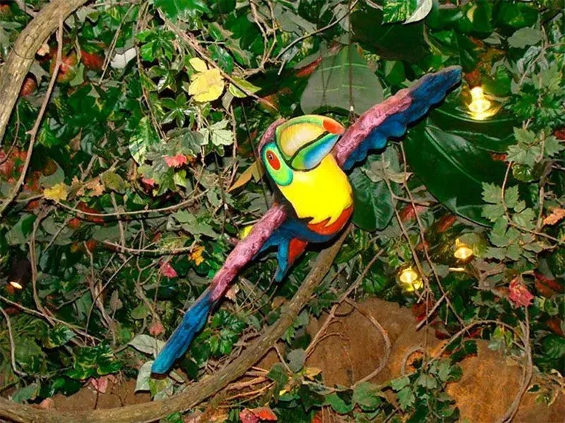 Rainforest - 4
