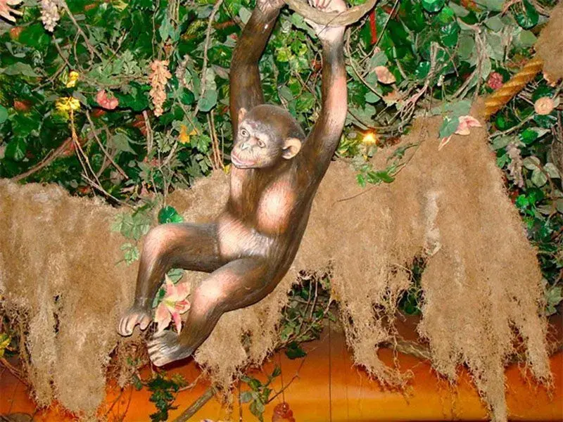 Rainforest - 5