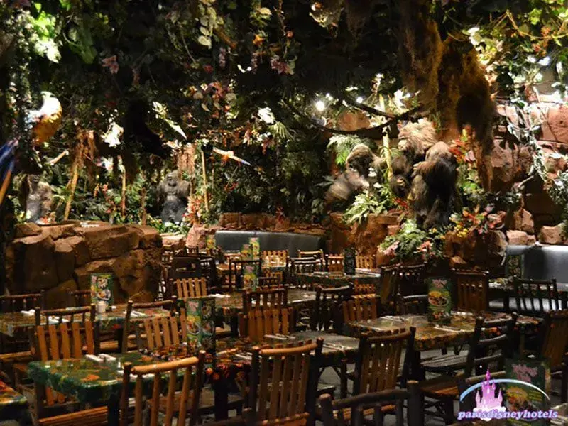 Rainforest - 14