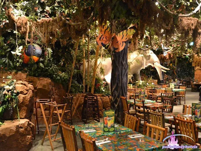 Rainforest - 15