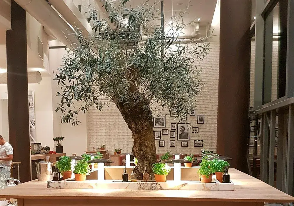 Vapiano - 2