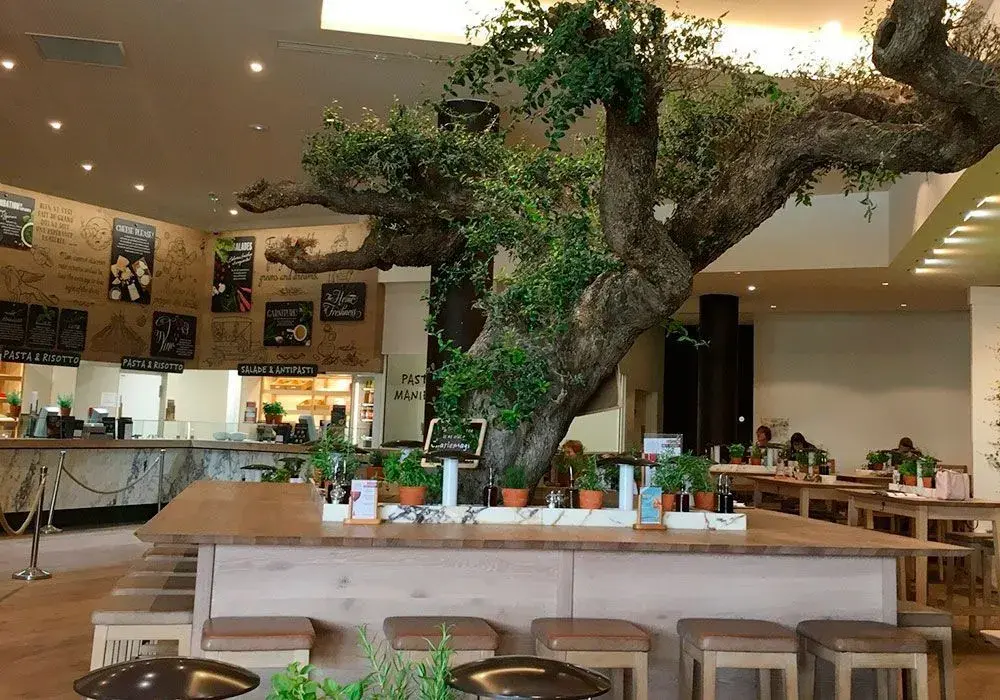 Vapiano - 8