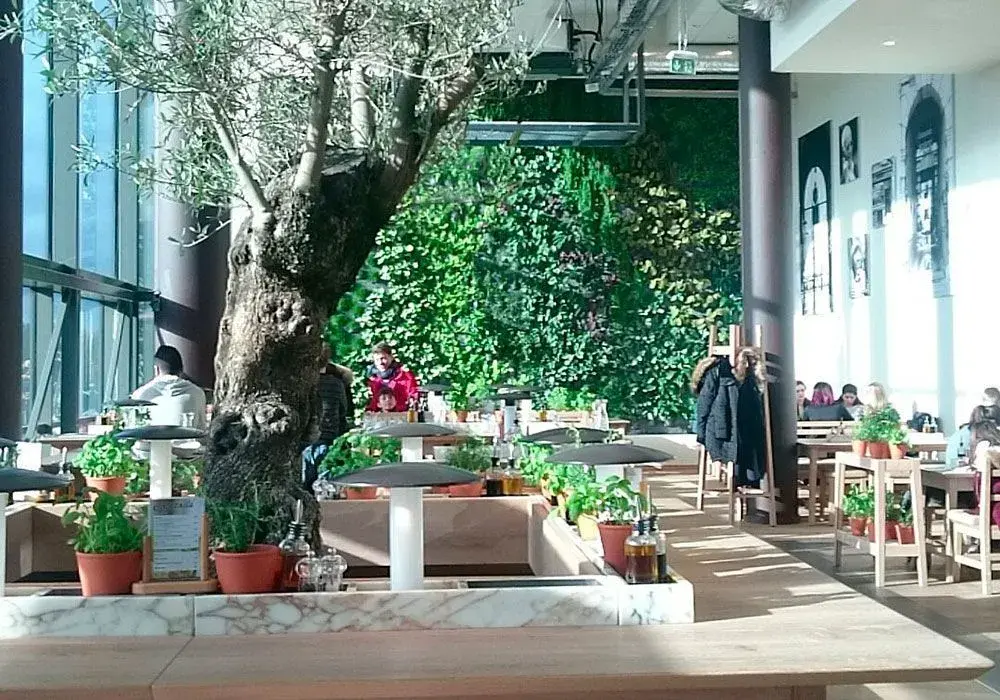 Vapiano - 15